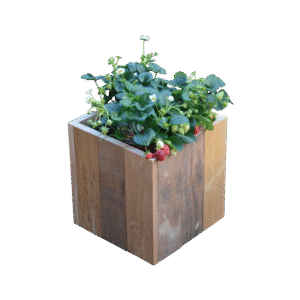 't Blokske (L 32 x B 32 x H 32)*