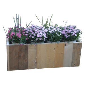 't Balkske Laag (L 82 x B 22 x H 32)*